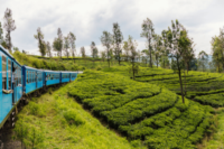 Ella, Sri Lanka