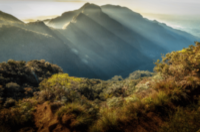 Horton Plains National Park, Sri Lanka