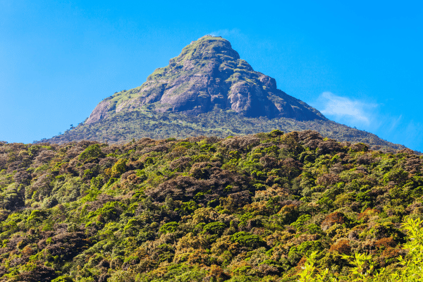 Adam’s Peak (Sri Pada)