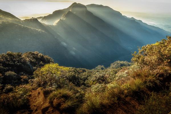 Horton Plains National Park